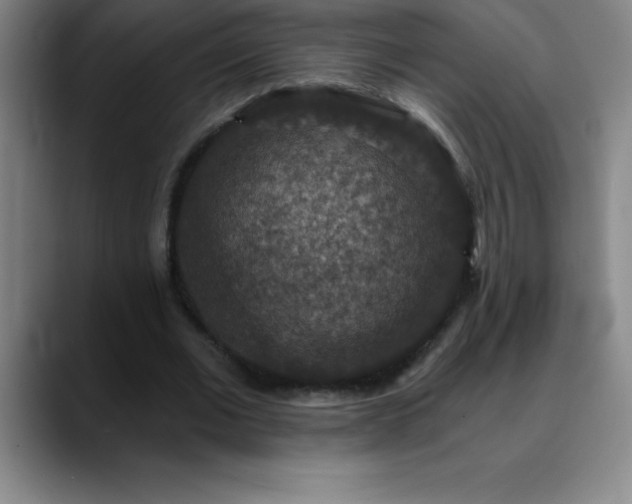 X0000088850677200706151718