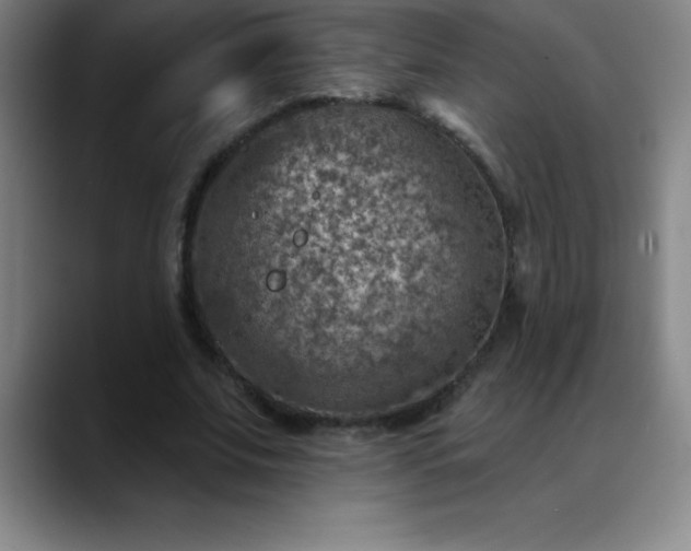 X0000088850679200706151718