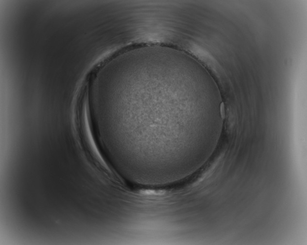 X0000088850680200706151717