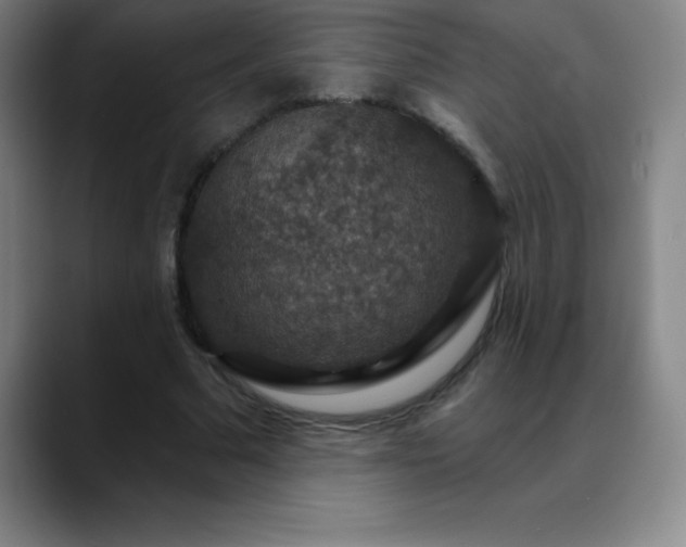 X0000088850681200706151717