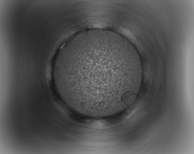 X0000088850683200706151717