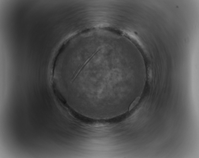 X0000088850684200706151717