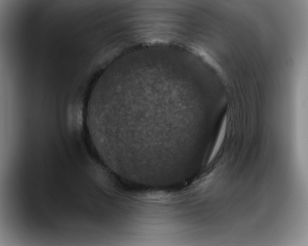 X0000088850685200706151717