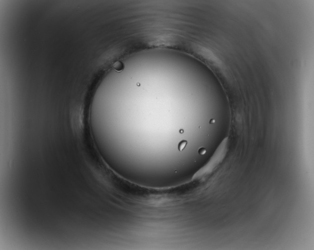 X0000088850686200706151717