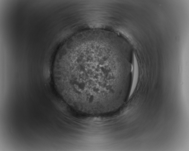 X0000088850687200706151717