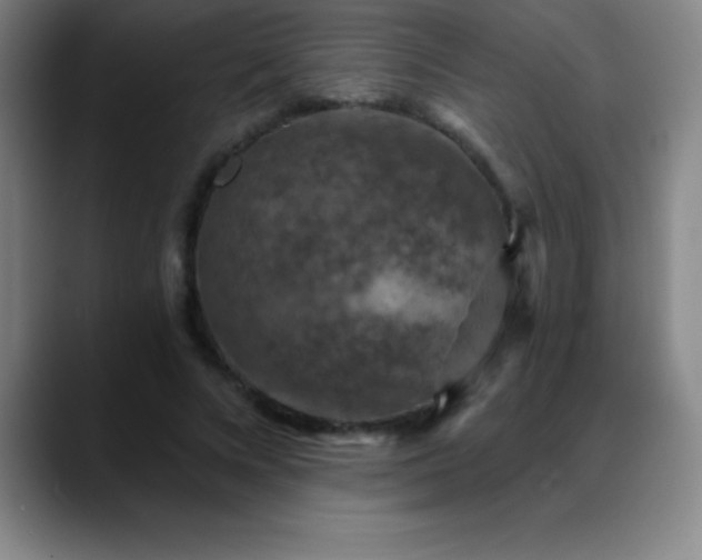 X0000088850688200706151717