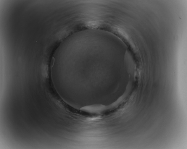 X0000088850689200706151717