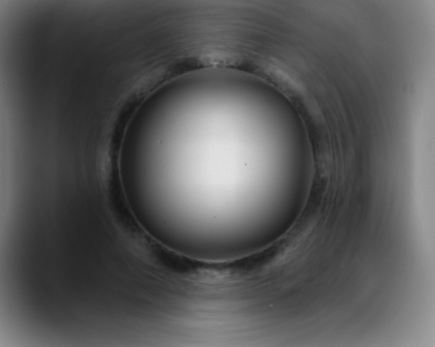 X0000088850690200706151717