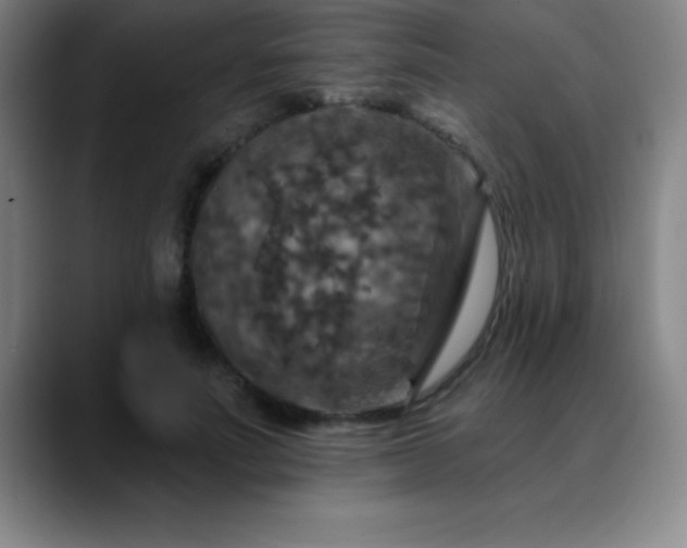 X0000088850691200706151717