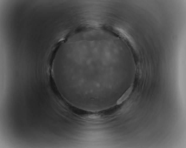 X0000088850692200706151717