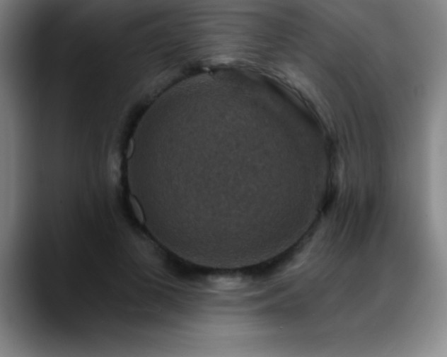 X0000088850693200706151717