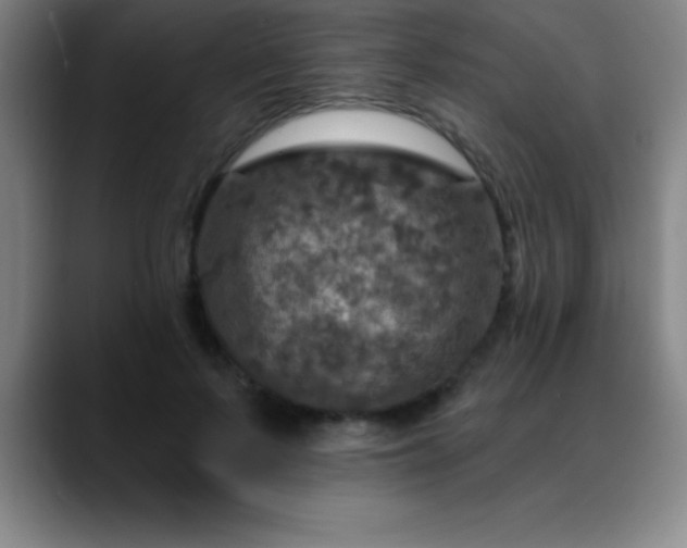 X0000088850695200706151717