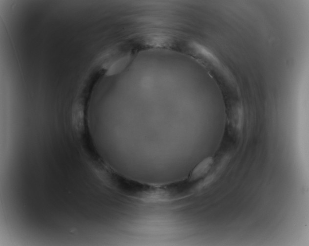 X0000088850696200706151717