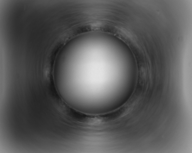 X0000088850698200706151717