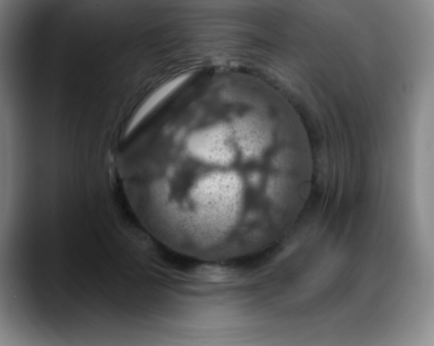 X0000088850699200706151717