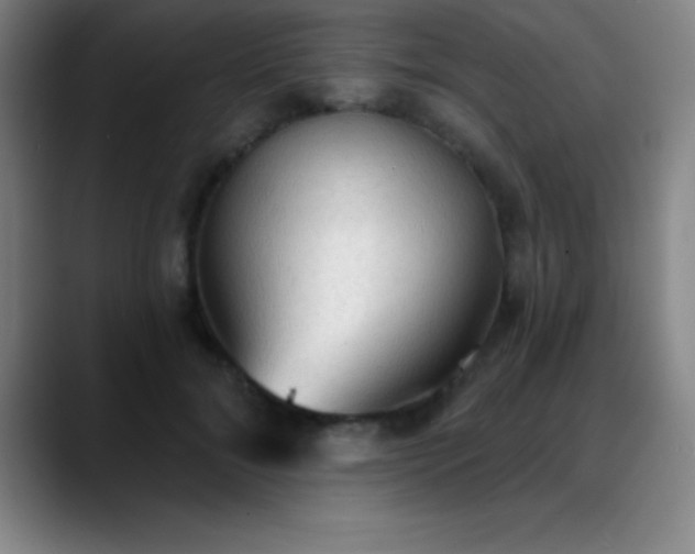 X0000088850700200706151717