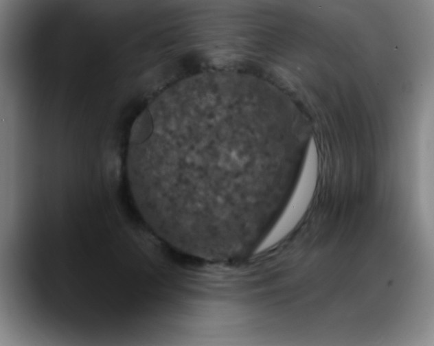 X0000088850703200706151717