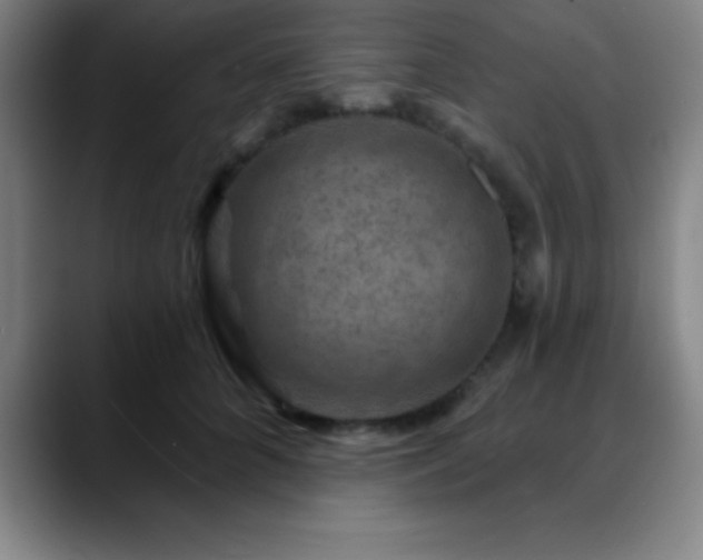 X0000088850704200706151717