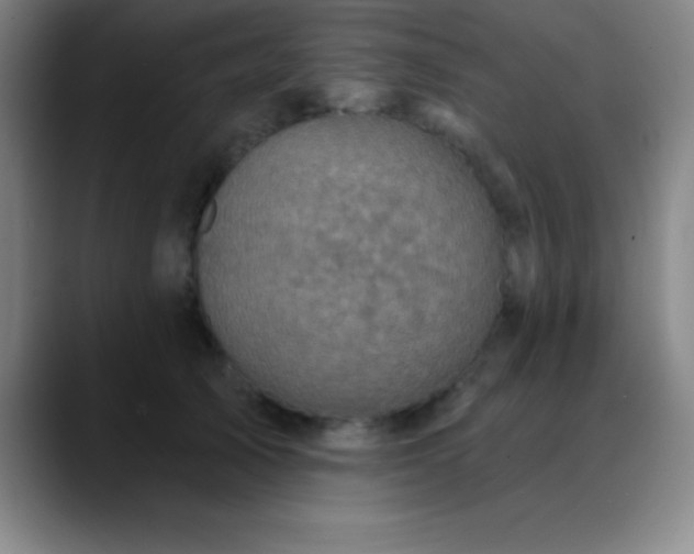 X0000088850705200706151717