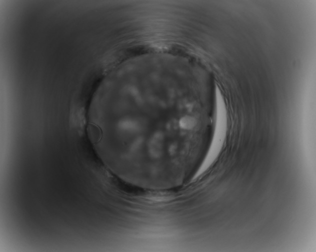 X0000088850707200706151717