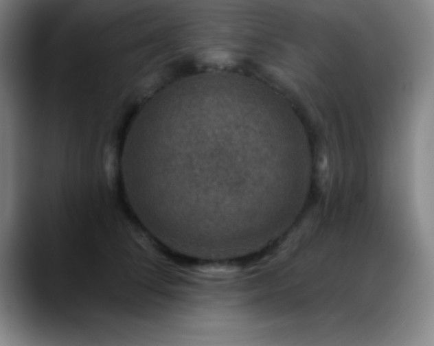 X0000088850708200706151717