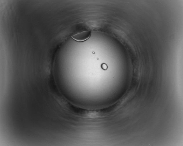 X0000088850710200706151717