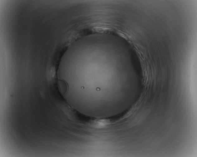 X0000088850711200706151717