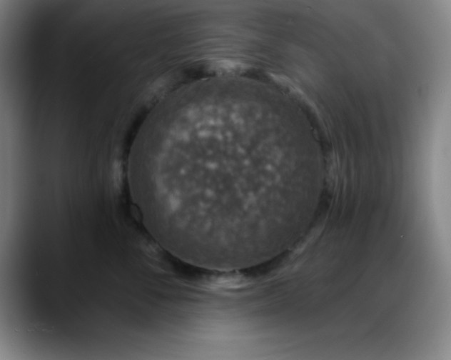 X0000088850716200706151717