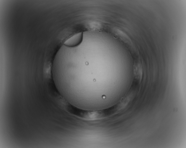 X0000088850717200706151717