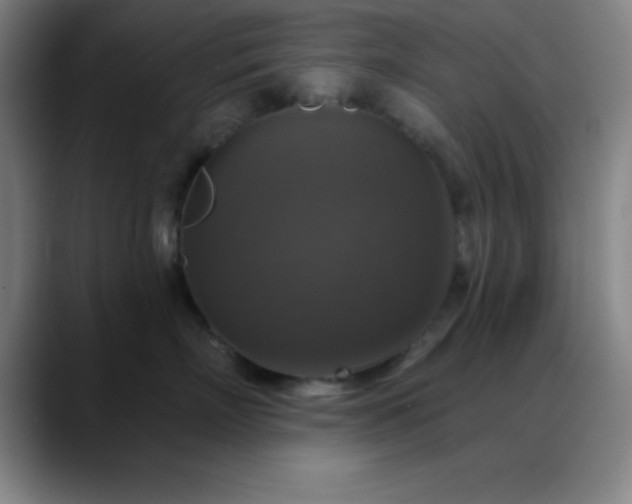 X0000088850718200706151717