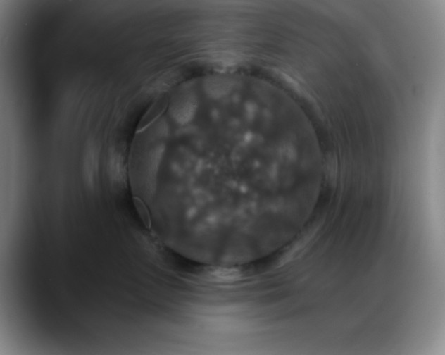 X0000088850719200706151717