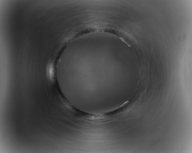 X0000088850720200706151717