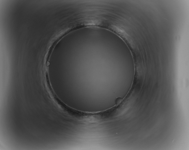 X0000088850721200706151716