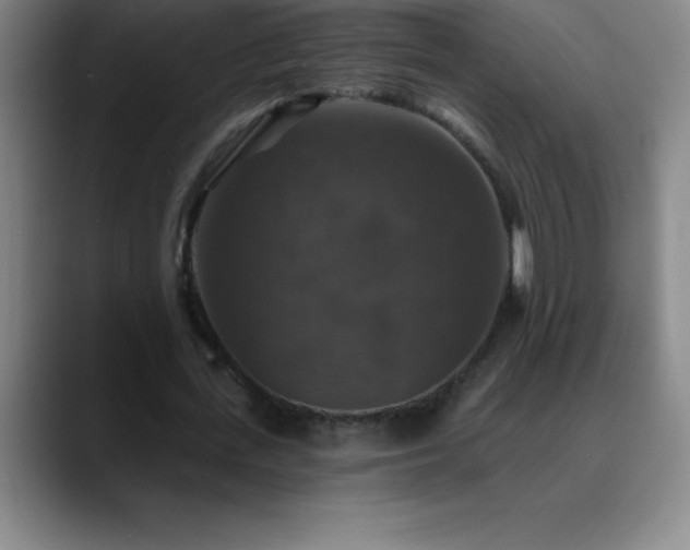 X0000088850723200706151717