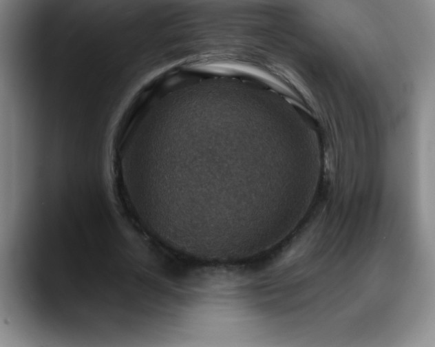 X0000088850724200706151717