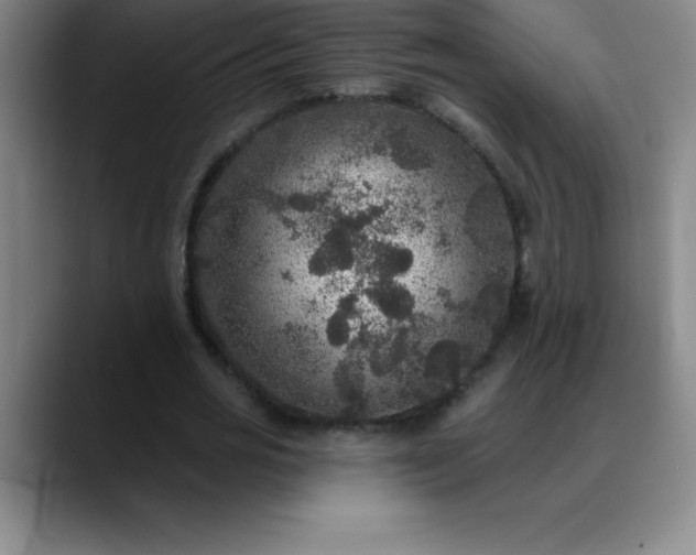 X0000088850725200706151717