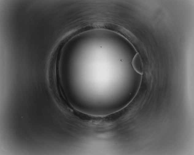 X0000088850728200706151717