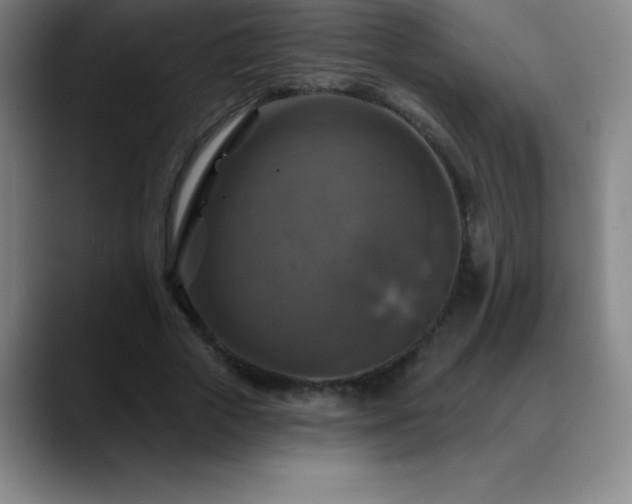 X0000088850729200706151717