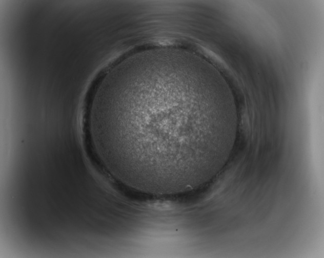 X0000088850730200706151717