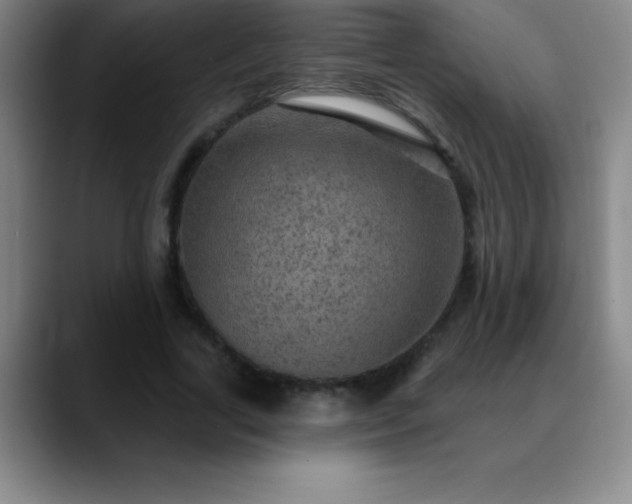 X0000088850731200706151717