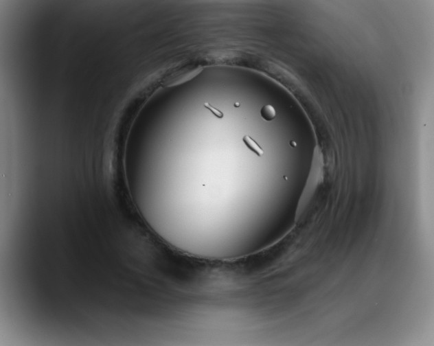 X0000088850732200706151717