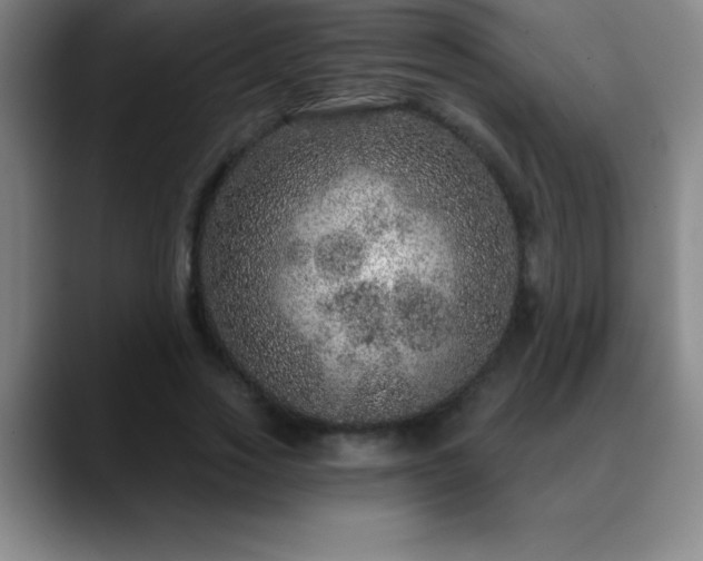 X0000088850733200706151717