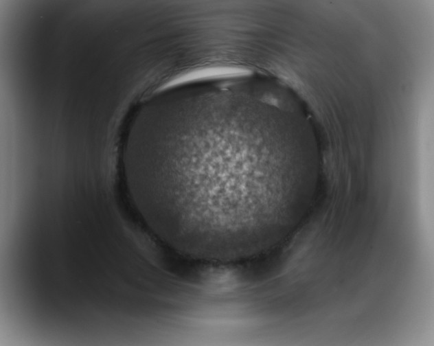 X0000088850735200706151717