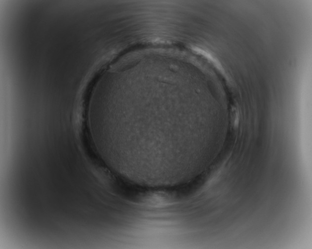 X0000088850736200706151717