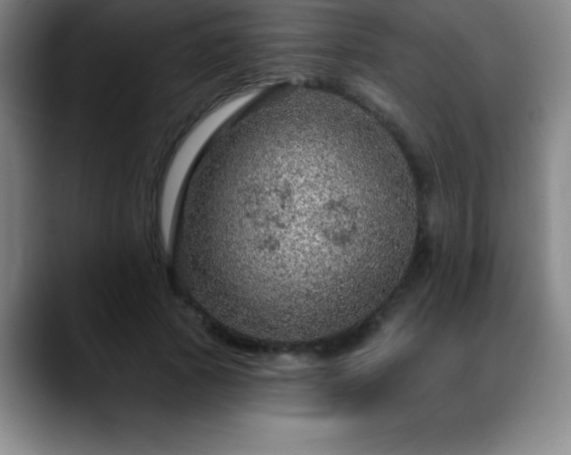 X0000088850737200706151717