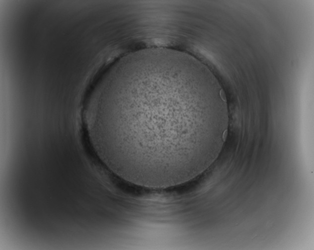 X0000088850738200706151717