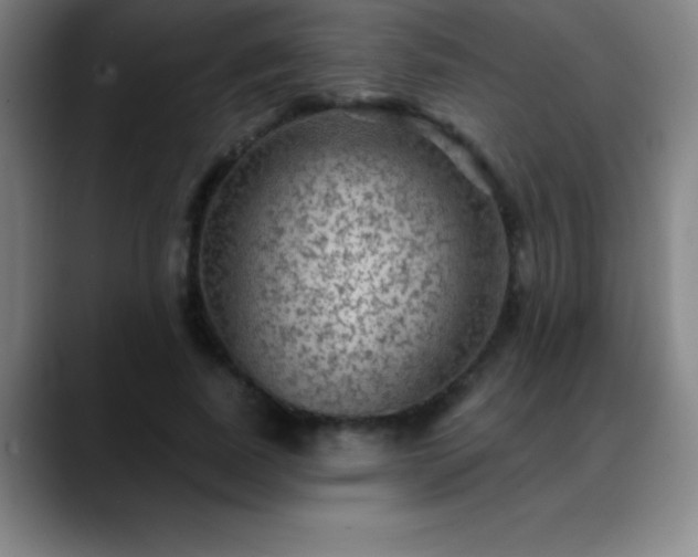 X0000088850739200706151717