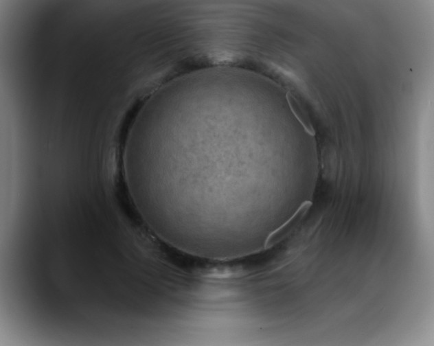 X0000088850740200706151717