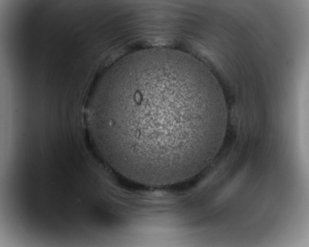 X0000088850741200706151717