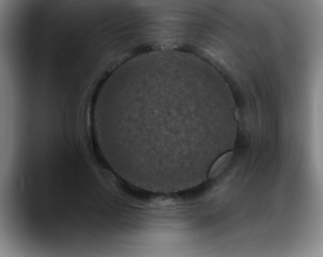 X0000088850742200706151717